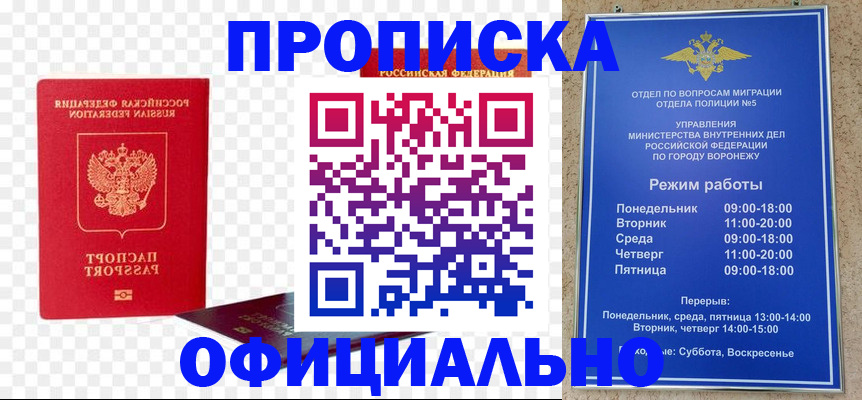 прописка иностранных граждан в Кингисеппе